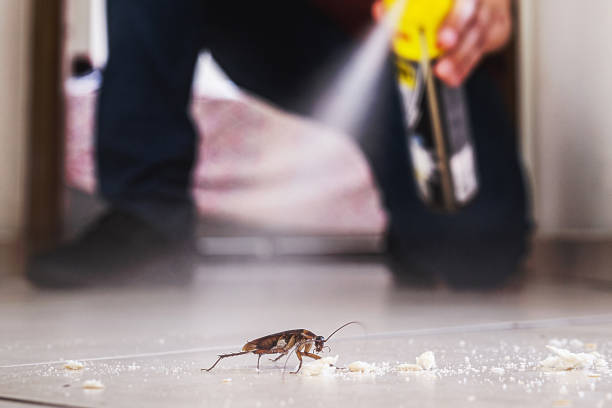 Best Local Pest Control Services  in Forest City, PA