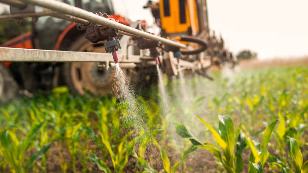 Best Mosquito Control Services  in Forest City, PA